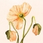 Picture of HIGHPOINT POPPIES I