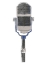 Picture of MIC CHECK II