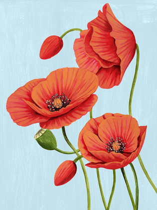 Picture of POPPY TOPPLE II