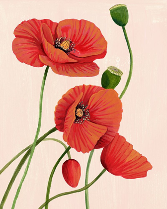 Picture of SOFT CORAL POPPIES I