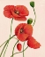 Picture of SOFT CORAL POPPIES I