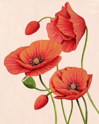Picture of SOFT CORAL POPPIES II