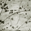 Picture of LACED SKY III