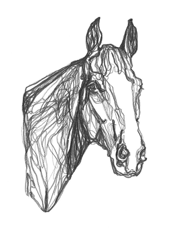 Picture of EQUINE CONTOUR I