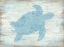 Picture of OCEAN TURTLE 