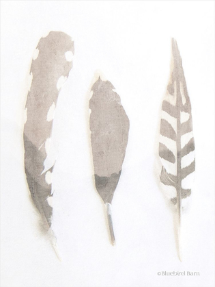 Picture of SOFT FEATHERS STUDY    