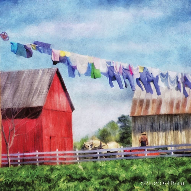 Picture of CLOTHESLINE FARM