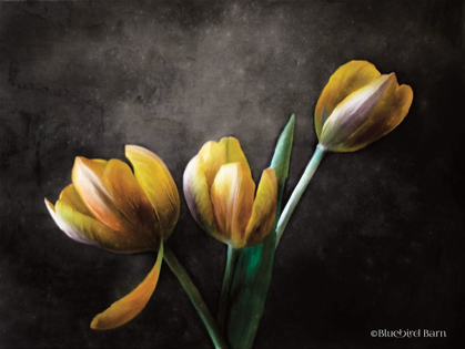 Picture of CONTEMPORARY FLORAL TULIPS