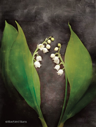 Picture of CONTEMPORARY FLORAL LILY OF THE VALLEY