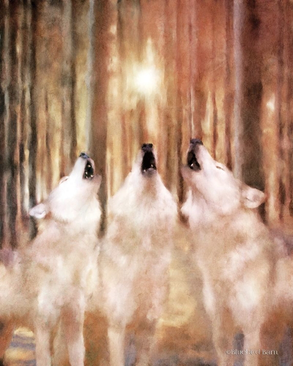 Picture of THREE WOLF HOWL