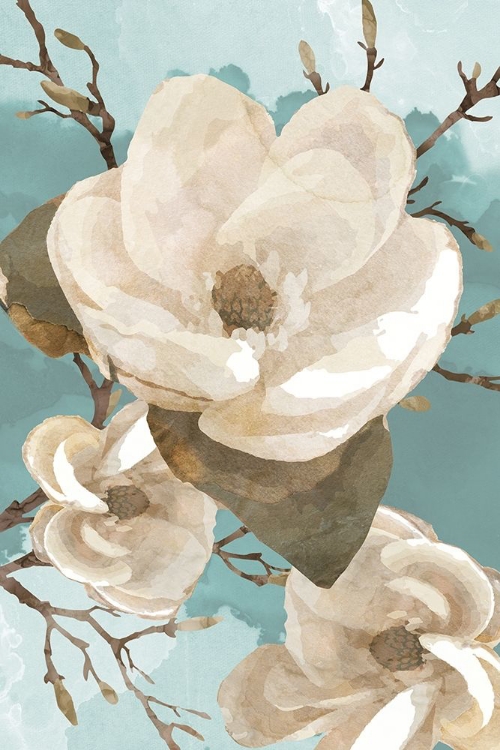 Picture of MAGNOLIA II