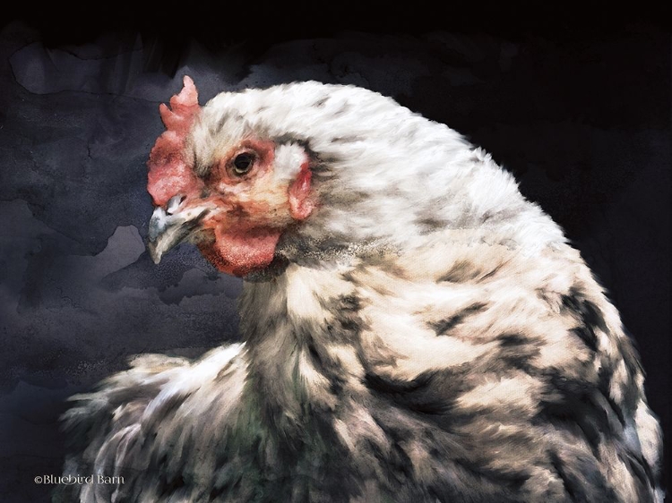 Picture of ROOSTER PORTRAIT