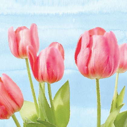 Picture of FRESH SPRING TULIPS I