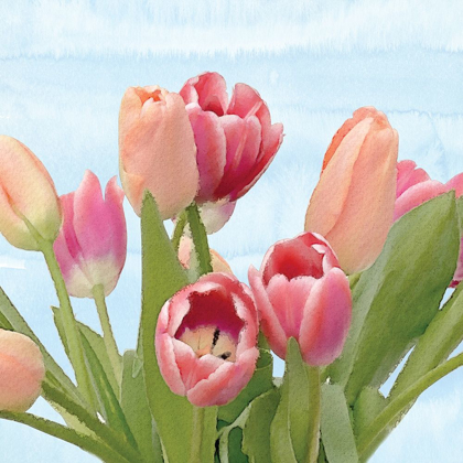 Picture of FRESH SPRING TULIPS IV