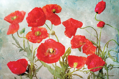 Picture of POPPIES