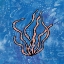 Picture of WHIMSY COASTAL CONCH SEAWEED
