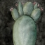 Picture of BIG BLOOMING CACTUS I