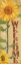Picture of WELCOME SUNFLOWER