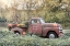 Picture of MY WIFE BORROWED THE TRUCK