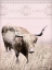 Picture of ROSIE THE COW