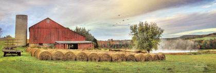 Picture of TIOGA HAY BALES