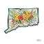 Picture of FLORAL CONNECTICUT