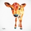 Picture of CUTE LITTLE CALF