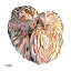 Picture of OWLS