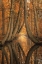 Picture of THE BENT ONES