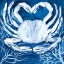 Picture of MIDNIGHT GHOST CRAB