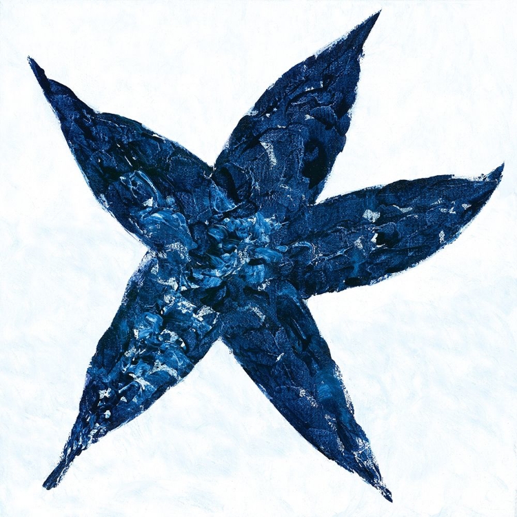 Picture of MIDNIGHT STARFISH