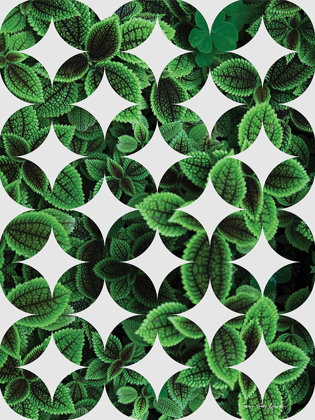 Picture of LEAVES PATTERN