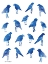 Picture of BLEU BIRDS