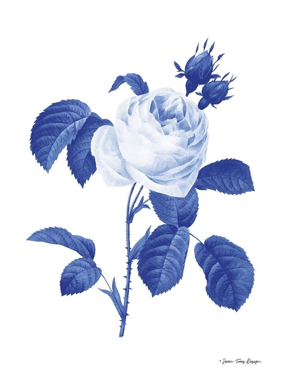 Picture of BLUE BOTANICAL I