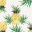 Picture of PINEAPPLE CRAZE 