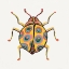Picture of GOLDEN BEETLE 