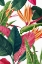 Picture of EDENS TROPICAL PALMS 