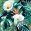 Picture of WHITE LILY PARADISE 