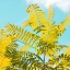 Picture of TROPICAL BREEZE I 