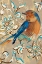 Picture of TWEET I