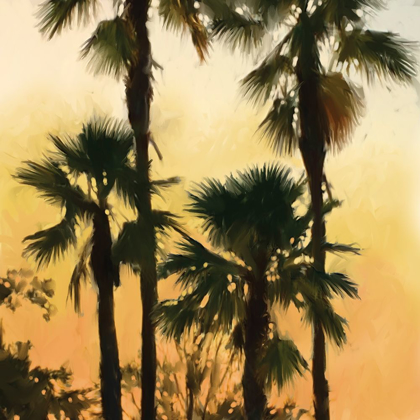 Picture of MORNING PALM TREE I