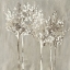 Picture of DUSKY