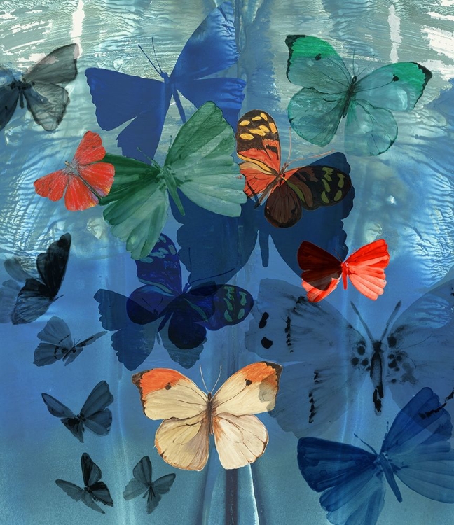 Picture of FLUTTERING BUTTERFLIES 