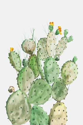 Picture of SUNNY CACTUS 