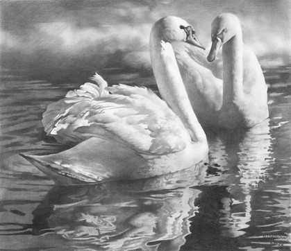 Picture of TWO SWANS