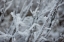 Picture of WINTER CRYSTALS