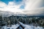 Picture of SNOWY SENTINELS II