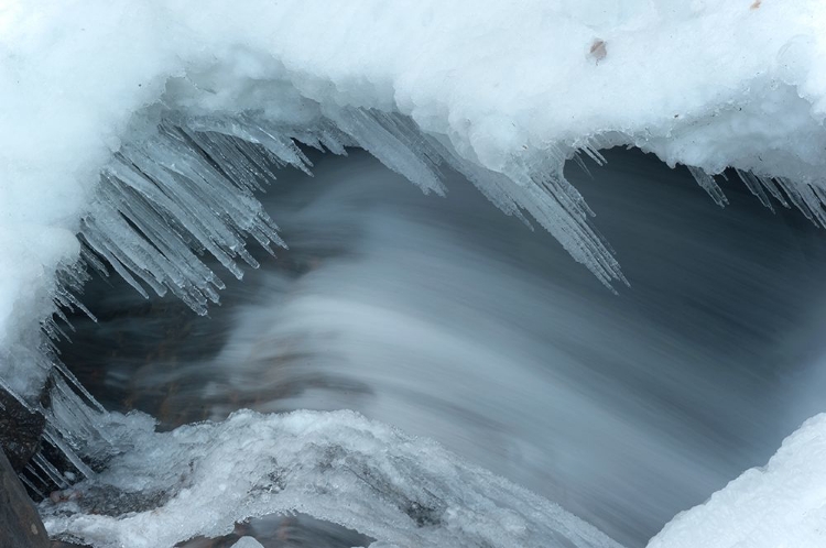 Picture of ICICLES