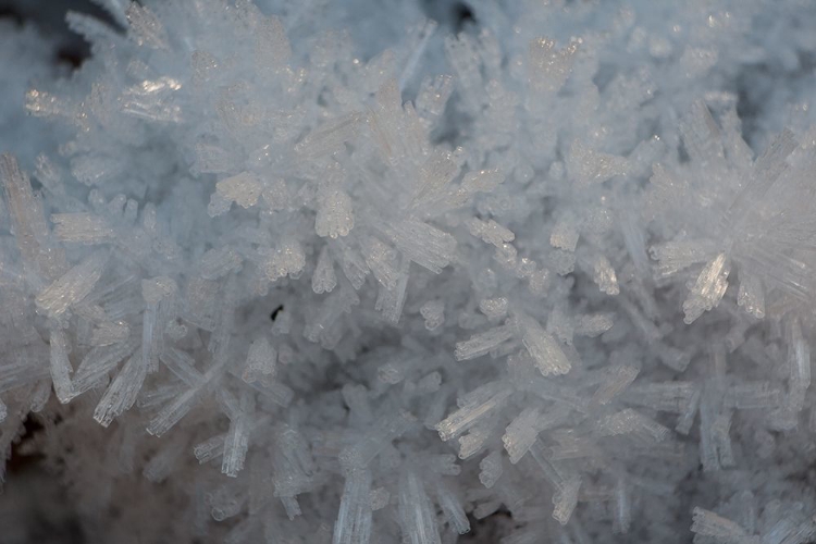 Picture of ICE CRYSTALS I