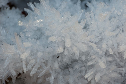 Picture of ICE CRYSTALS II